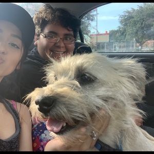 Meet your Posher, Destiny